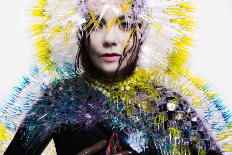 Bjork-Vulnicura.jpg